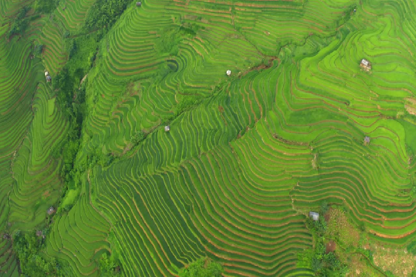 Mu Cang Chai Tour 3 Days - photo 45